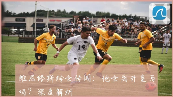维尼修斯转会传闻:他会离开皇马吗?深度解析